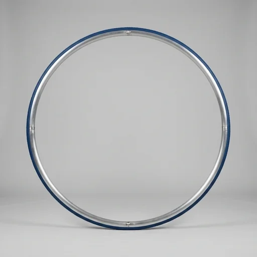 Play Juggling Cyr Wheel